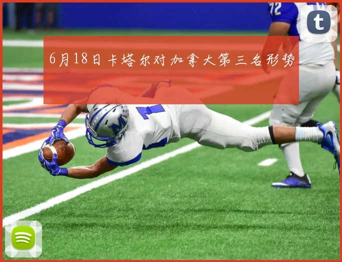 6月18日卡塔尔对加拿大第三名形势
