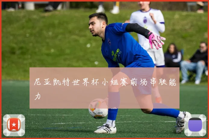 尼亚凯特世界杯小组赛前场串联能力