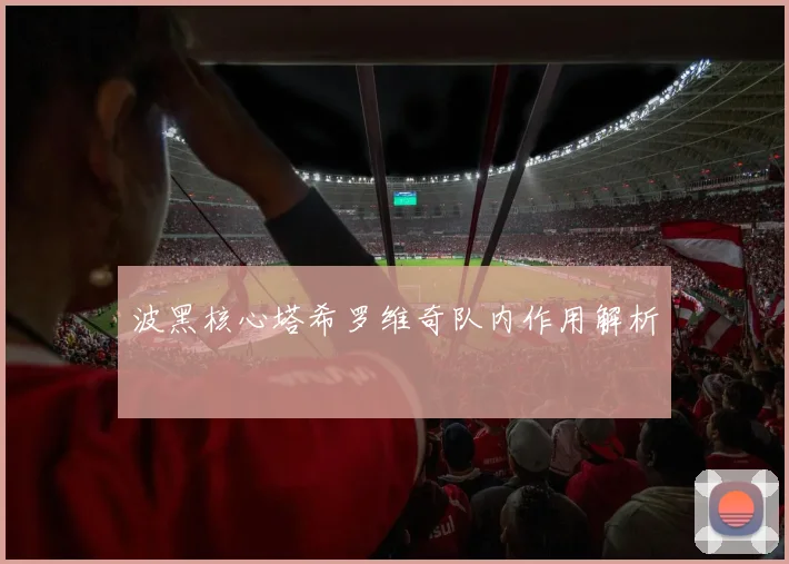 波黑核心塔希罗维奇队内作用解析
