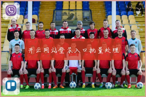 开云网站登录入口批量处理