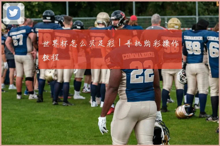 世界杯怎么买足彩｜手机购彩操作教程