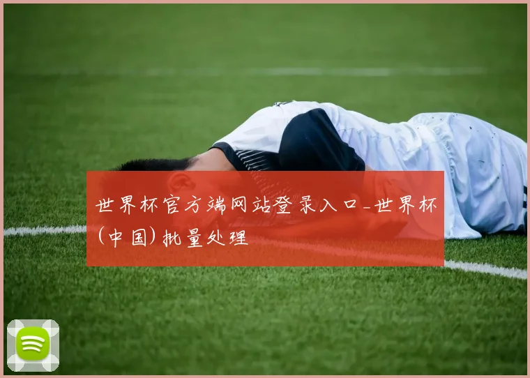 世界杯官方端网站登录入口_世界杯(中国)批量处理