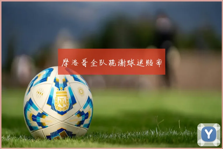 摩洛哥全队跪谢球迷赔率