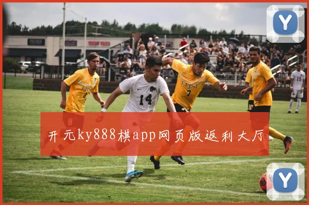 开元ky888棋app网页版返利大厅