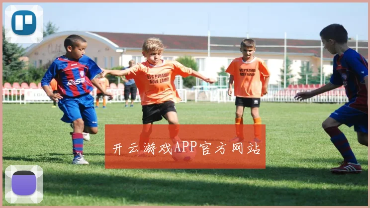 开云游戏APP官方网站