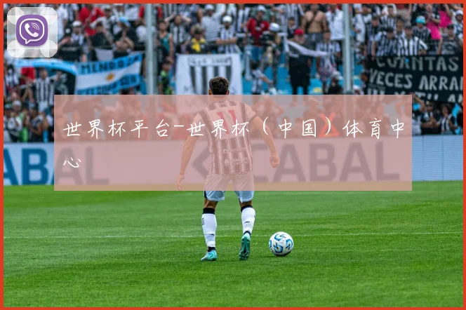世界杯平台-世界杯(中国)体育中心
