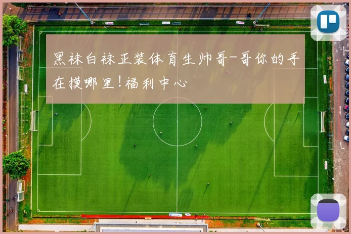 黑袜白袜正装体育生帅哥-哥你的手在摸哪里!福利中心