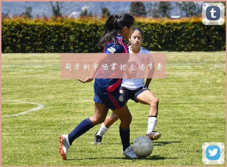 匈牙利中场掌控全场节奏