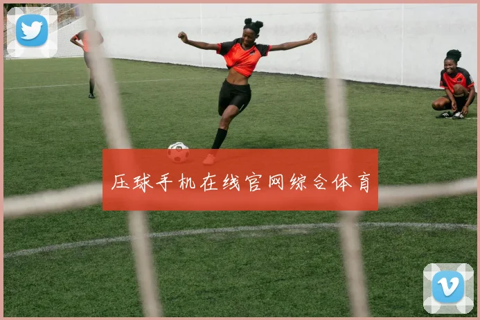 压球手机在线官网综合体育