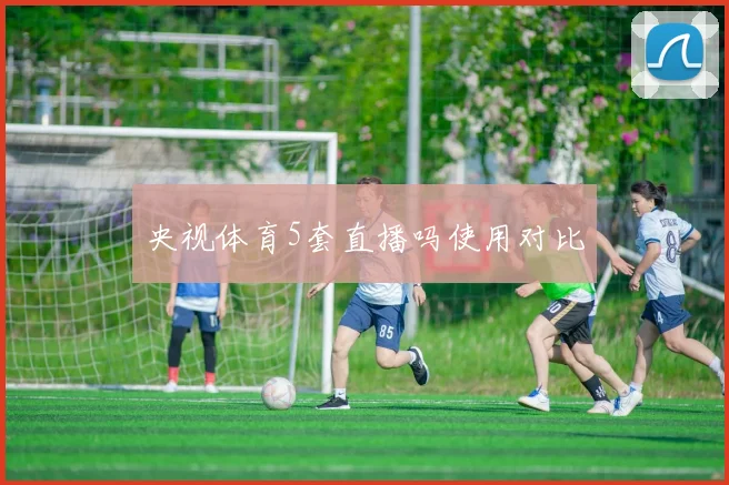 央视体育5套直播吗使用对比