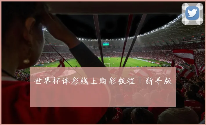 世界杯体彩线上购彩教程｜新手版