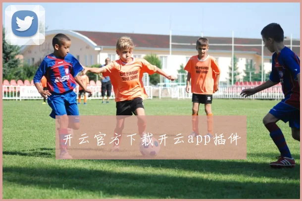 开云官方下载开云app插件