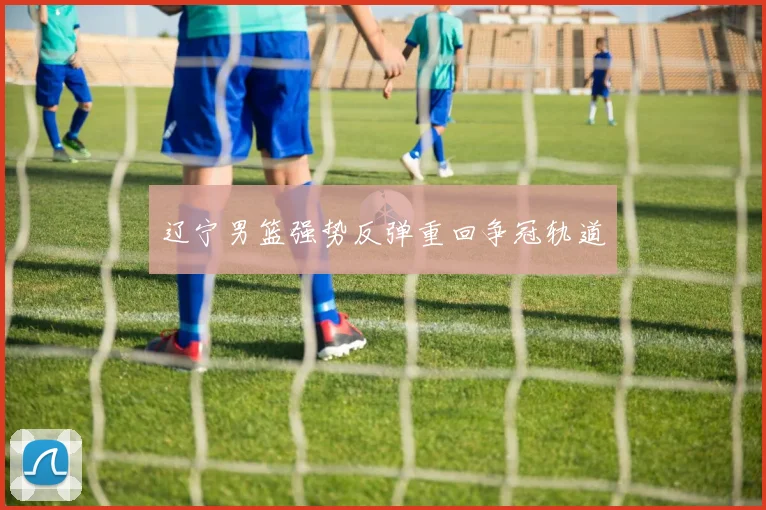 辽宁男篮强势反弹重回争冠轨道