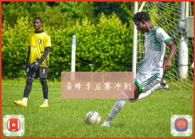 黄蜂季后赛冲刺