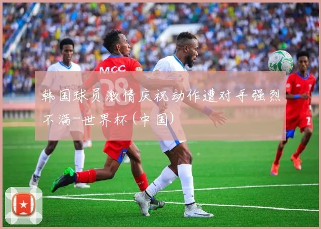 韩国球员激情庆祝动作遭对手强烈不满-世界杯(中国)