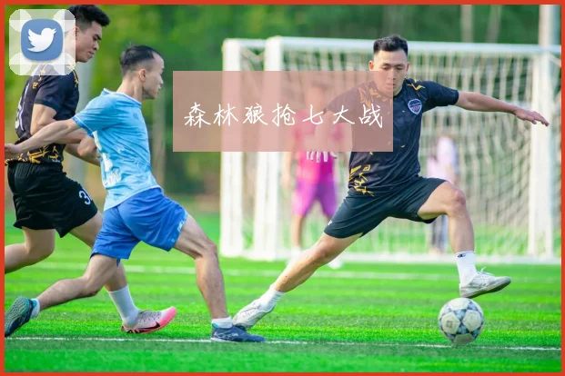 森林狼抢七大战