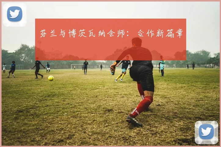 芬兰与博茨瓦纳会师：合作新篇章