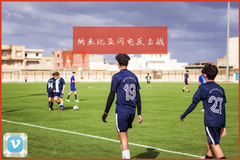 纳米比亚闪电反击战