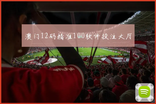 澳门12码精准100软件投注大厅