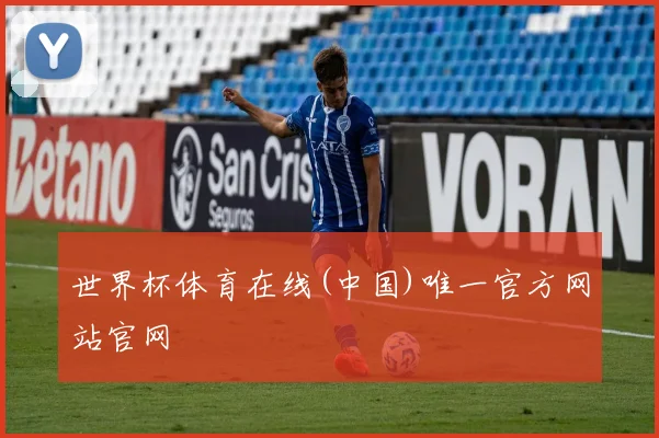 世界杯体育在线(中国)唯一官方网站官网