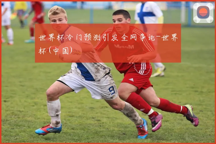 世界杯冷门预测引发全网争论-世界杯(中国)