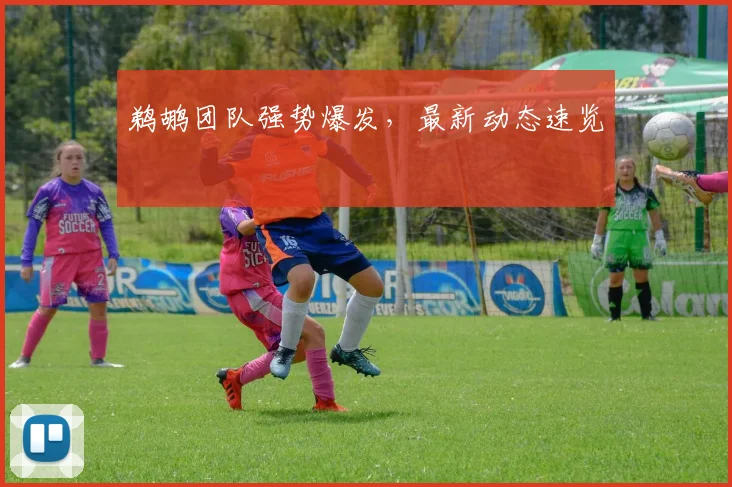 鹈鹕团队强势爆发，最新动态速览