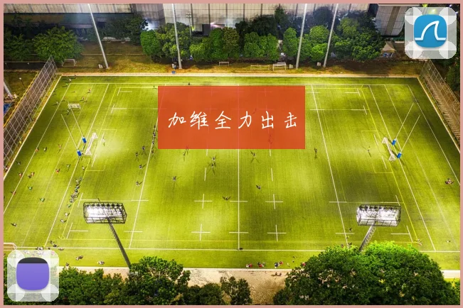加维全力出击