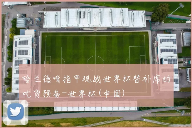 哈兰德啃指甲观战世界杯替补席的吃货预备-世界杯(中国)