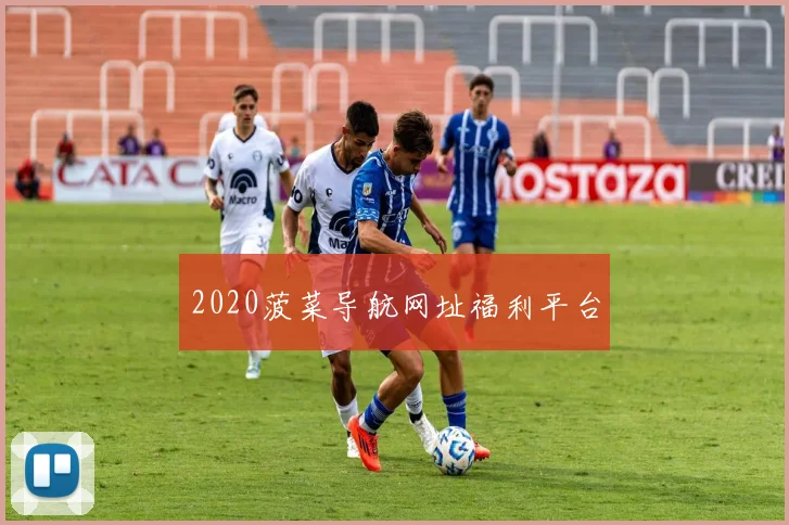 2020菠菜导航网址福利平台