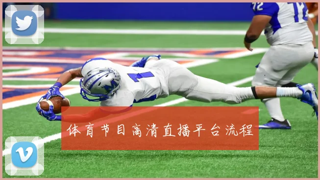 体育节目高清直播平台流程
