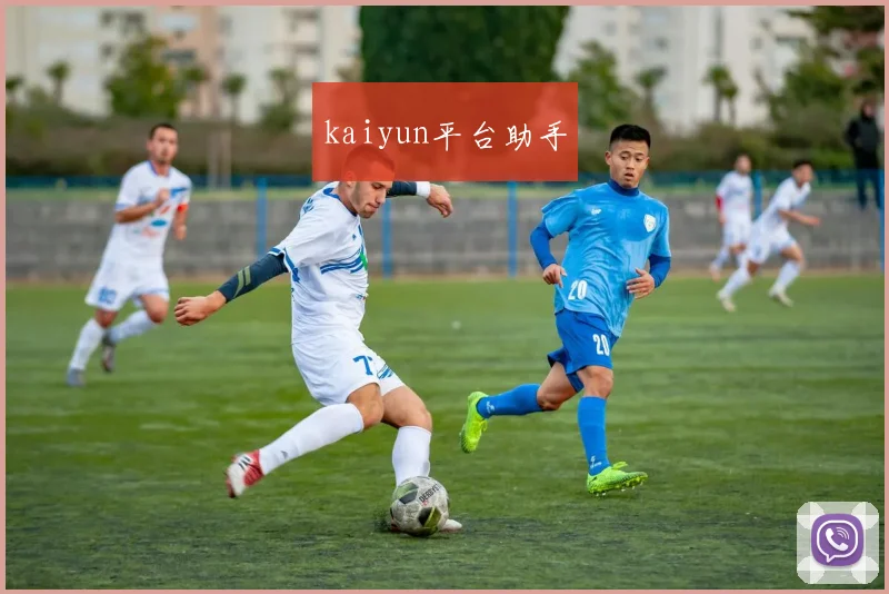 kaiyun平台助手