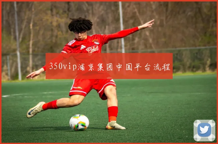 350vip浦京集团中国平台流程