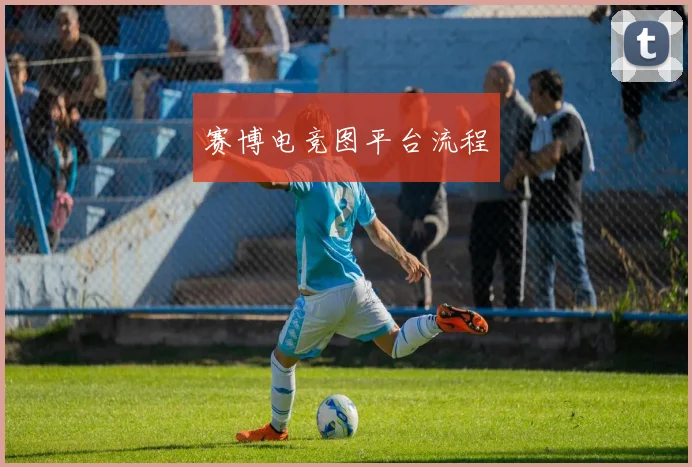 赛博电竞图平台流程