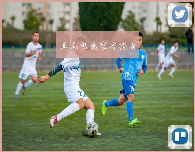 亚虎电竞官方指南