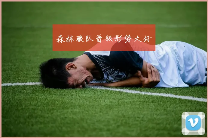 森林狼队晋级形势大好