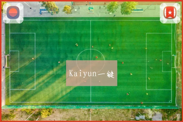 Kaiyun一键