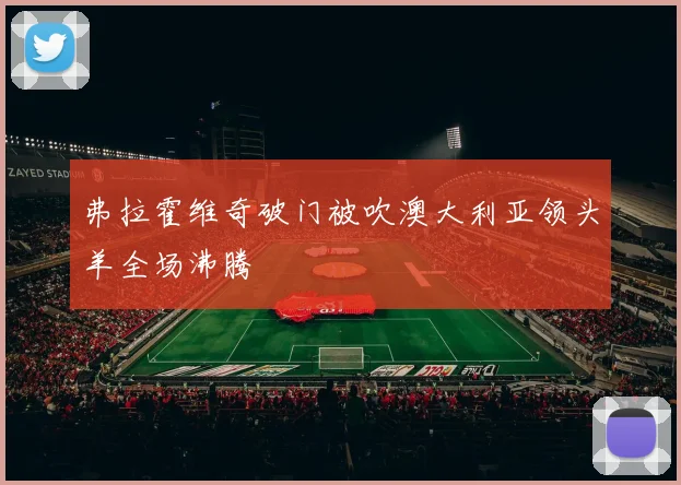 弗拉霍维奇破门被吹澳大利亚领头羊全场沸腾