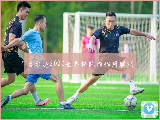 马尔迪2026世界杯队内作用解析