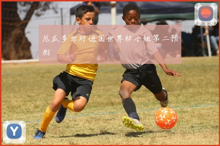 厄瓜多尔对德国世界杯小组第二预测