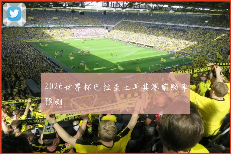2026世界杯巴拉圭土耳其赛前赔率预测