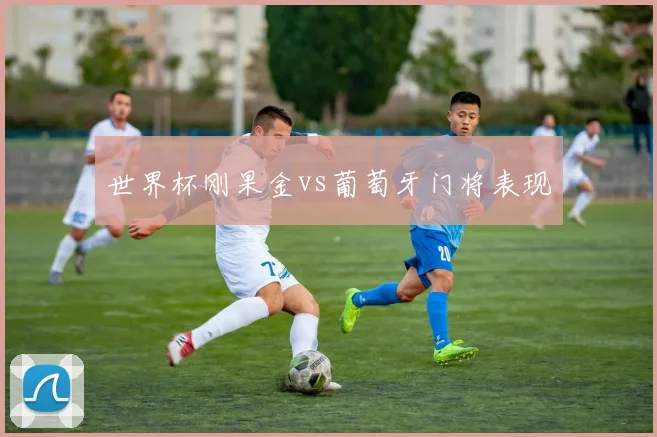 世界杯刚果金vs葡萄牙门将表现