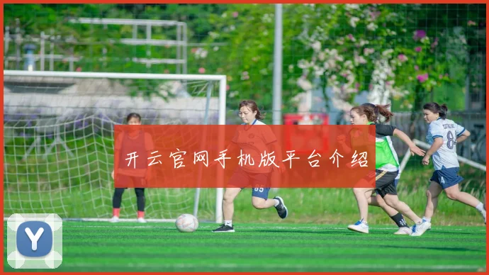 开云官网手机版平台介绍