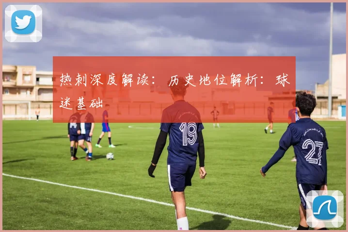 热刺深度解读：历史地位解析：球迷基础